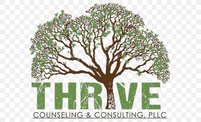 Thrive Counseling & Consulting, PLLC Mental Health Counselor Family Therapy Thrive Addictions Services Military, PNG, 640x499px, Mental Health Counselor, Branch, Business, Counseling, Counseling Psychology Download Free