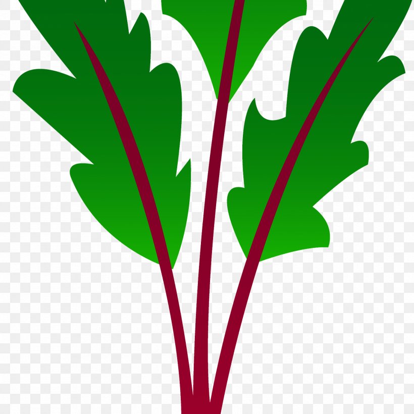 Beetroot Vegetable Tomato Clip Art, PNG, 1500x1500px, Beetroot, Drawing, Food, Grass, Leaf Download Free