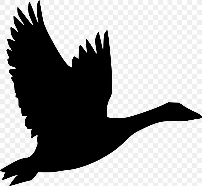 Bird Goose Flight Duck Clip Art, PNG, 980x902px, Bird, Anatidae, Beak, Bird Flight, Black And White Download Free