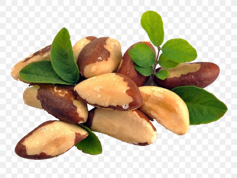 Brazil Nut Food Health Amazon Rainforest, PNG, 1200x900px, Brazil Nut, Almond, Amazon Rainforest, Commodity, Dried Fruit Download Free