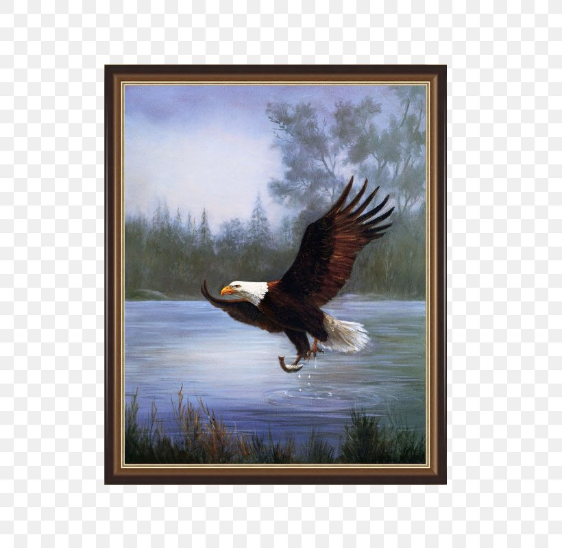 Eagle Painting Canvas Art Printmaking, PNG, 800x800px, Eagle, Accipitriformes, Allposterscom, Art, Artcom Download Free