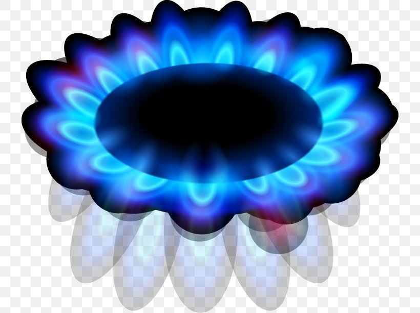 Flame Euclidean Vector Fire, PNG, 736x611px, Flame, Blue, Coal Gas, Cobalt Blue, Electric Blue Download Free