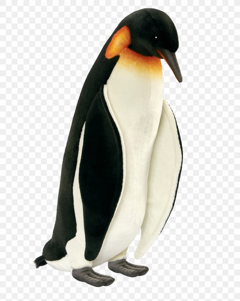 King Penguin Neck Beak, PNG, 1635x2048px, King Penguin, Beak, Bird, Flightless Bird, Neck Download Free