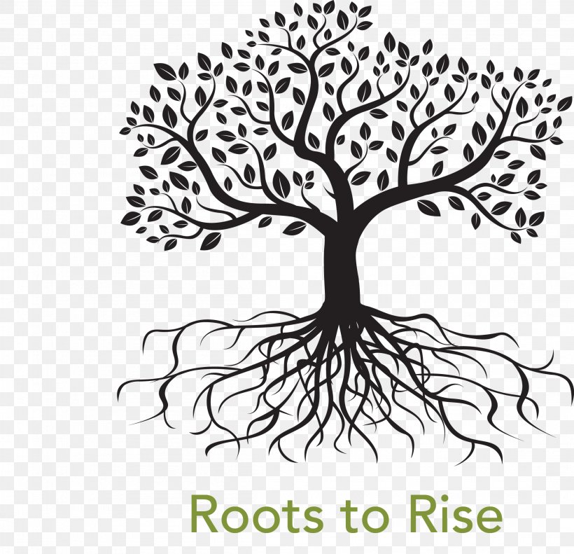 Root Tree Royalty-free Drawing, PNG, 2299x2219px, Root, Artwork, Black And White, Branch, Drawing Download Free