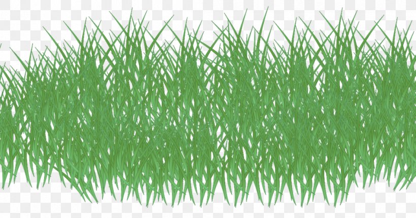 Vetiver Wheatgrass Google+, PNG, 1047x550px, Vetiver, Askfm, Chrysopogon, Chrysopogon Zizanioides, Commodity Download Free