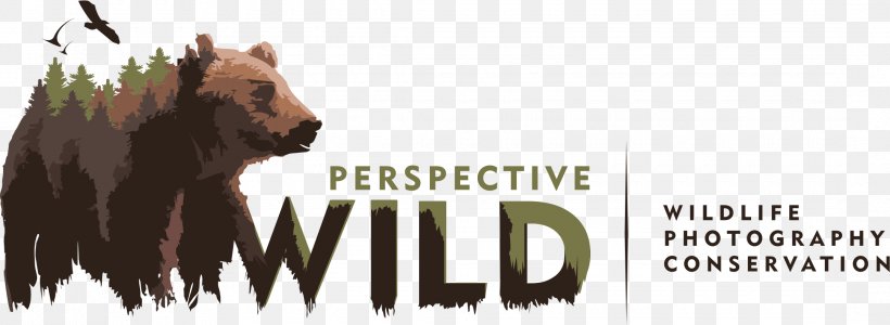 Wildlife Photography Logo Photographer, PNG, 2160x792px, Wildlife Photography, Advertising, Bear, Brand, Carnivoran Download Free