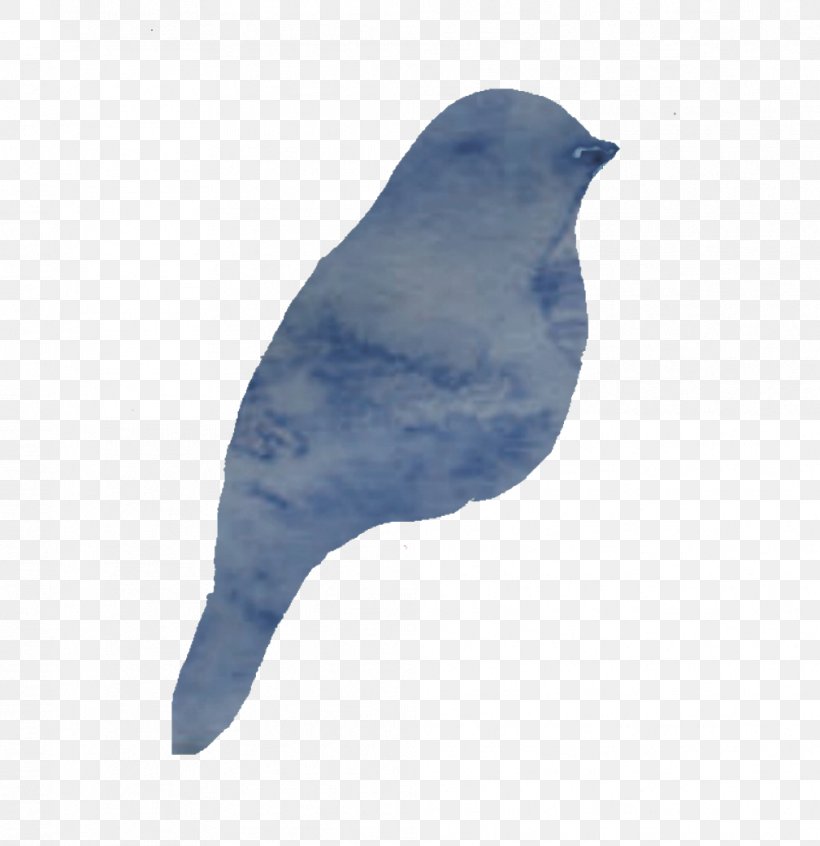 American Sparrows Cobalt Blue Beak Feather, PNG, 1009x1041px, American Sparrows, Beak, Bird, Blue, Bluebird Download Free