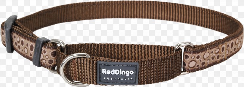 Dog Collar Dingo Dog Collar Leash, PNG, 3000x1074px, Dog, Belt, Belt Buckle, Buckle, Centimeter Download Free