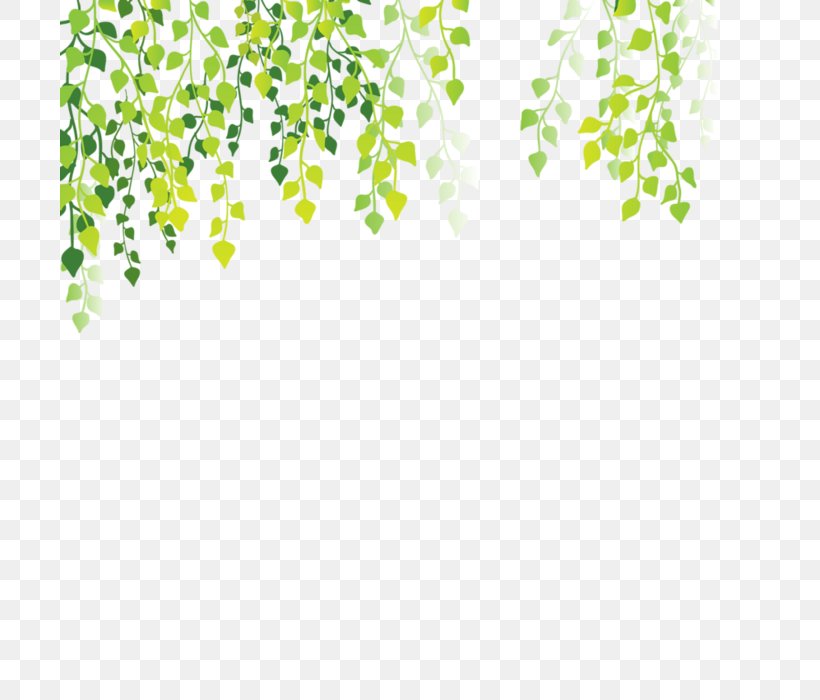 Leaf Clip Art, PNG, 700x700px, Leaf, Area, Bud, Grass, Green Download Free