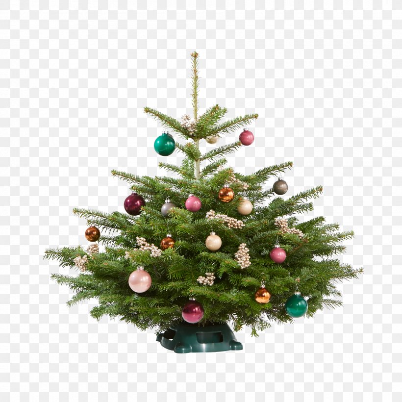 Christmas Tree Spruce Christmas Ornament Pine, PNG, 1800x1800px, Christmas Tree, Christmas, Christmas Decoration, Christmas Ornament, Conifer Download Free