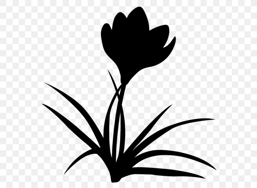 Clip Art Leaf Plant Stem Silhouette Flowering Plant, PNG, 595x600px, Leaf, Blackandwhite, Botany, Branching, Flower Download Free