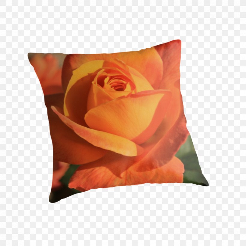 Garden Roses Throw Pillows Cushion, PNG, 875x875px, Garden Roses, Cushion, Flower, Garden, Orange Download Free