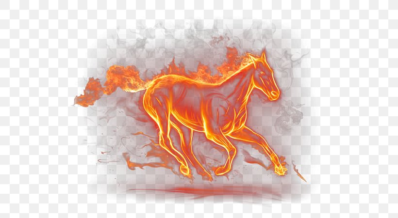 Horse Pony Llama Flame Gallop, PNG, 600x450px, Horse, Animal, Coreldraw, Fire, Flame Download Free