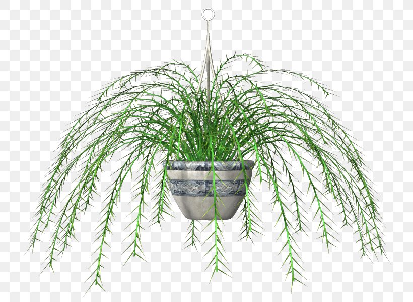 Clip Art Flowerpot Leaf Grasses, PNG, 744x599px, Flowerpot, Branch, Branching, Grass, Grass Family Download Free