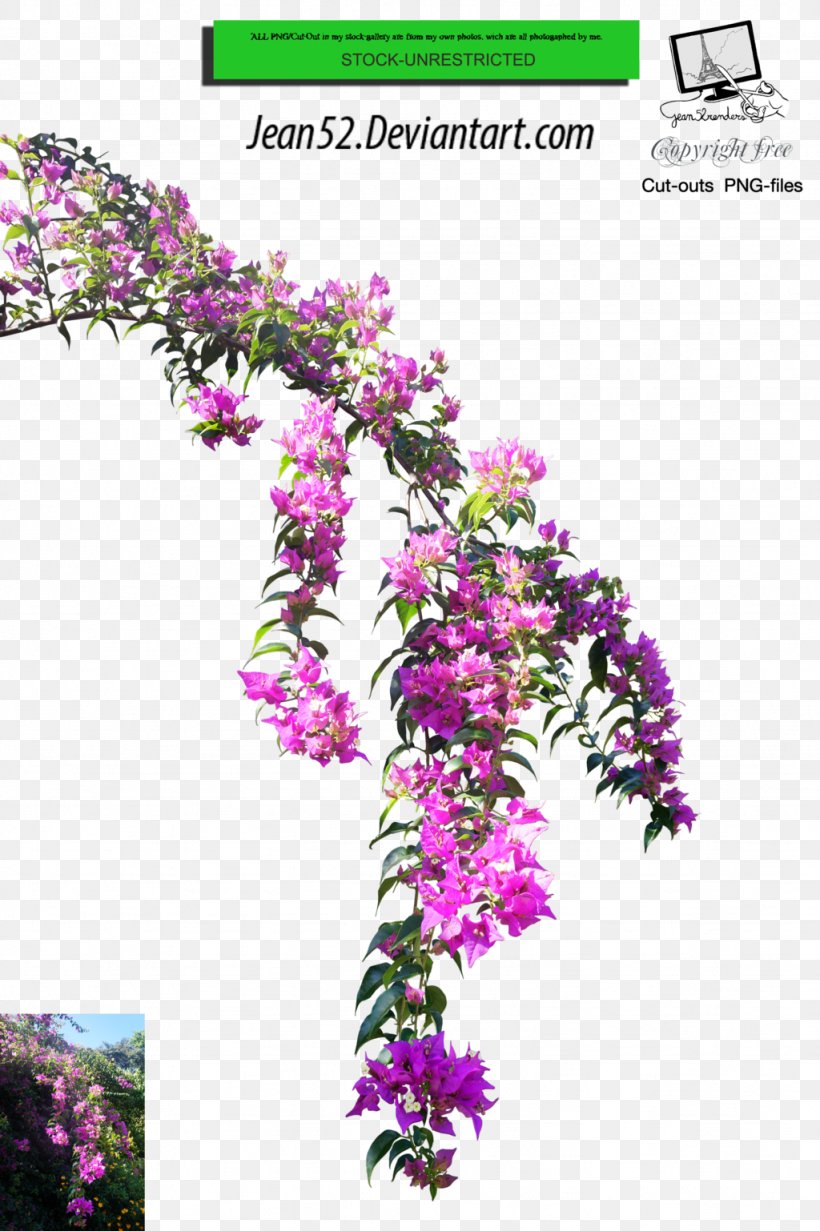 Flower Plant Floral Design, PNG, 1024x1538px, Flower, Art, Branch, Branching, Deviantart Download Free