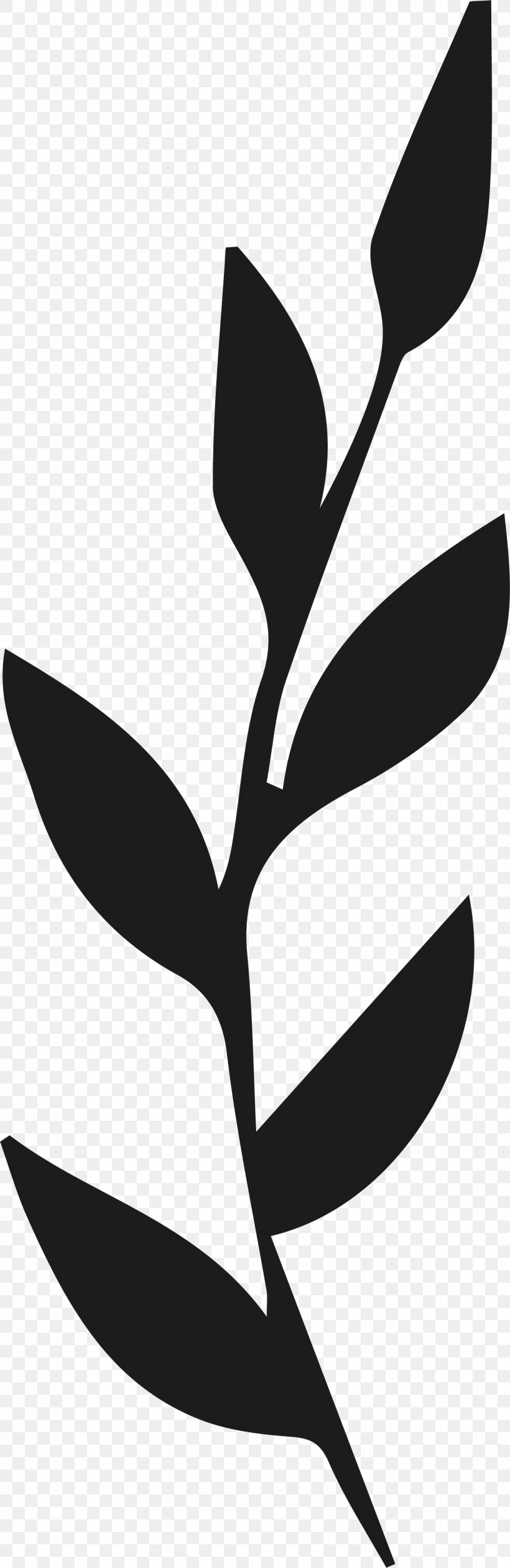 Plant Stem Petal Leaf Line Flower, PNG, 1310x4023px, Plant Stem, Biology, Flower, Leaf, Line Download Free
