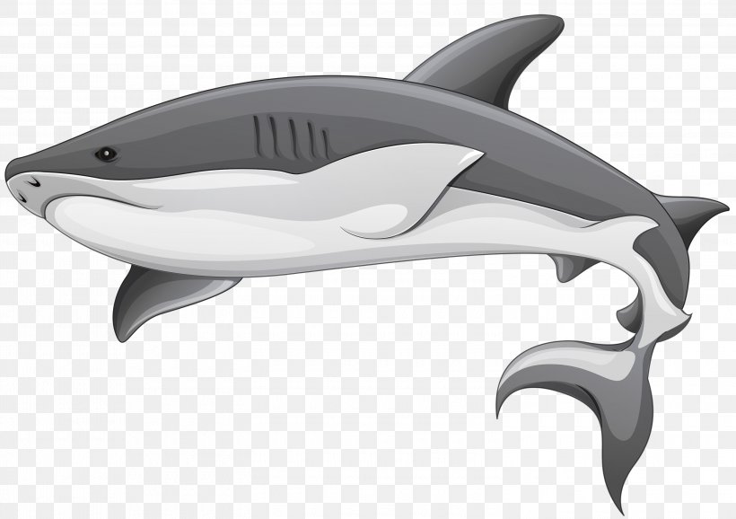 Shark Fin Soup Clip Art, PNG, 3000x2115px, Shark, Automotive Design, Carcharhinus Amblyrhynchos, Cartilaginous Fish, Dolphin Download Free