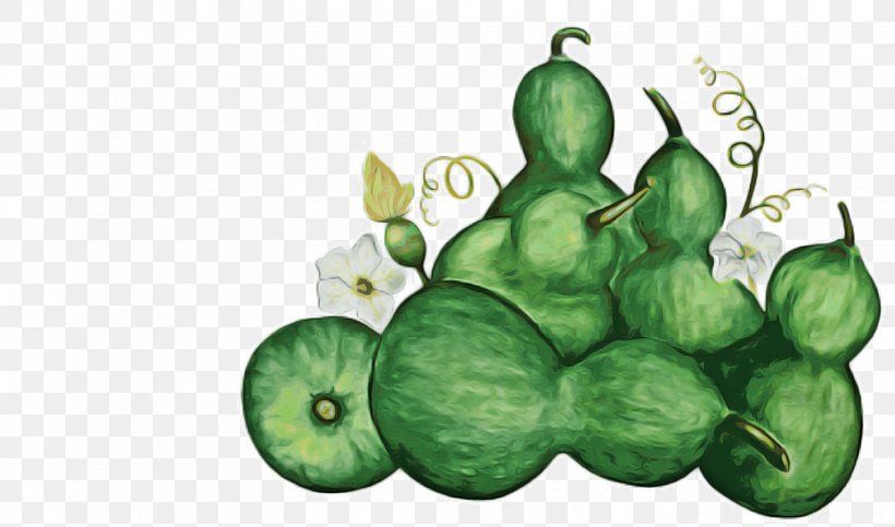 Tree Of Life, PNG, 1530x902px, Melon, Cucumber, Cucurbits, Family, Food Download Free