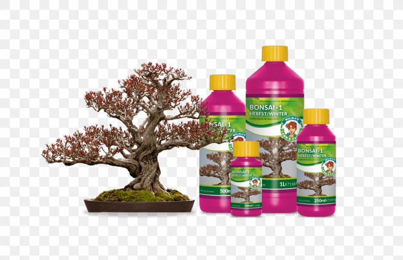 Bonsai Pomegranate Tree Plant Garden Centre, PNG, 1100x710px, Bonsai, Autumn, Bottle, Flowerpot, Food Download Free