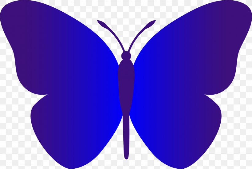 Butterfly Black And White Clip Art, PNG, 1600x1074px, Butterfly, Black, Black And White, Black Butterfly, Blue Download Free