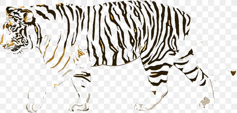 Cat Felidae Golden Tiger Bengal Tiger Siberian Tiger, PNG, 2088x1000px, Cat, African Lion, Animal, Animal Figure, Bengal Tiger Download Free