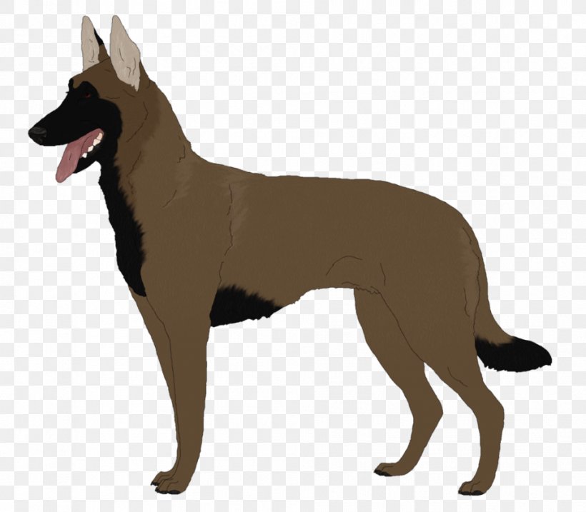 Dog Breed Tervuren Belgian Shepherd Kunming Wolfdog German Shepherd, PNG, 956x836px, Dog Breed, Australian Kelpie, Belgian Shepherd, Belgium, Breed Download Free