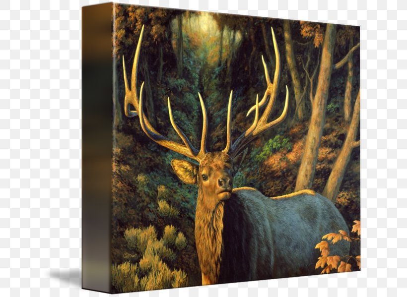 Elk IPhone 7 Moose Antler Stock Photography, PNG, 650x599px, Elk, Antler, Autumn, Canvas, Deer Download Free
