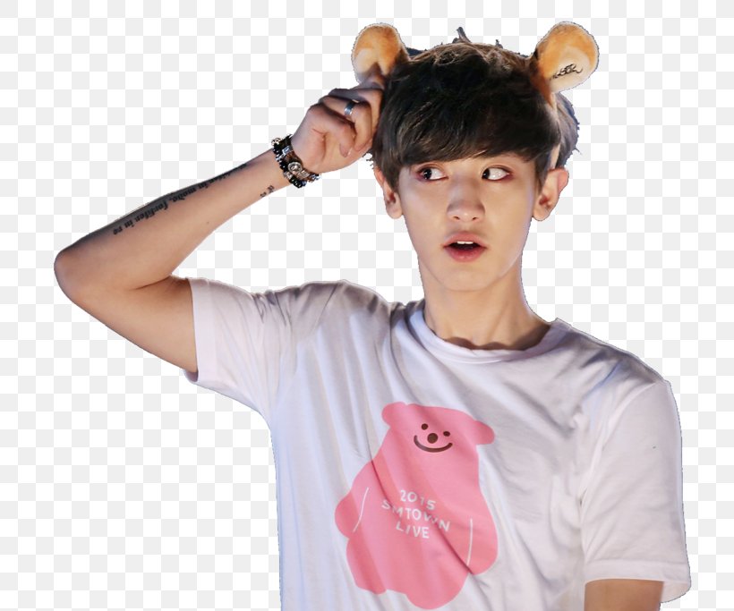 Chanyeol EXO Next Door Sticker SMTOWN Live World Tour IV, PNG, 737x683px, Chanyeol, Advertising, Arm, Art, Decal Download Free