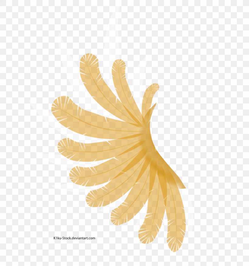 Close-up, PNG, 900x960px, Closeup, Flower, Petal, Wing, Yellow Download Free