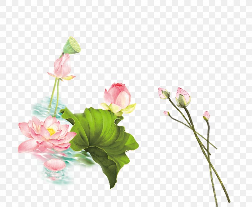 Floral Design Nelumbo Nucifera, PNG, 2229x1838px, Floral Design, Artificial Flower, Bud, Coreldraw, Cut Flowers Download Free