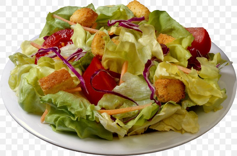 Food For Thought: The Debate Over Eating Meat Wrap Fast Food, PNG, 1607x1060px, Wrap, Caesar Salad, Cuisine, Dish, Eating Download Free