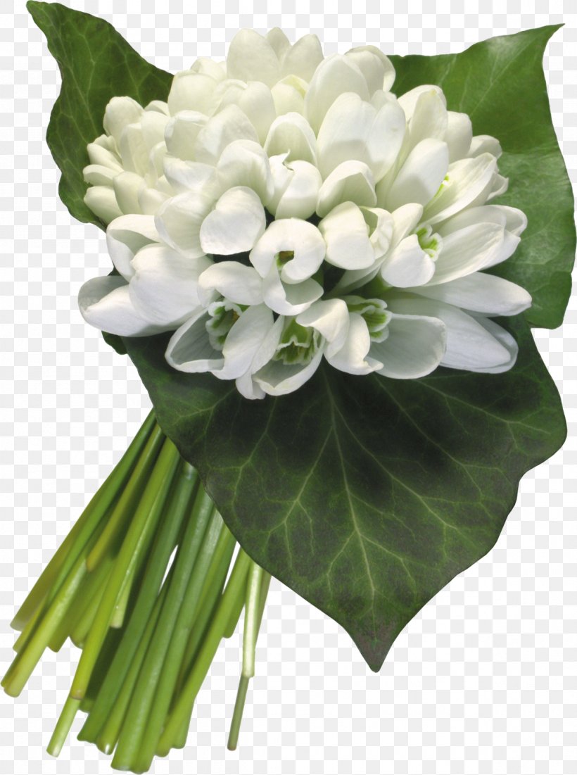 International Women's Day March 8 Holiday Ansichtkaart Flower Bouquet, PNG, 1191x1600px, International Women S Day, Animation, Ansichtkaart, Artificial Flower, Birthday Download Free