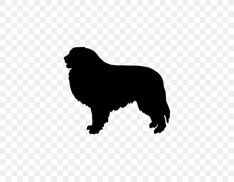 Newfoundland Dog Great Pyrenees Pyrenean Mastiff Dog Breed Hovawart, PNG, 640x640px, Newfoundland Dog, Australian Cattle Dog, Black, Black And White, Breed Download Free