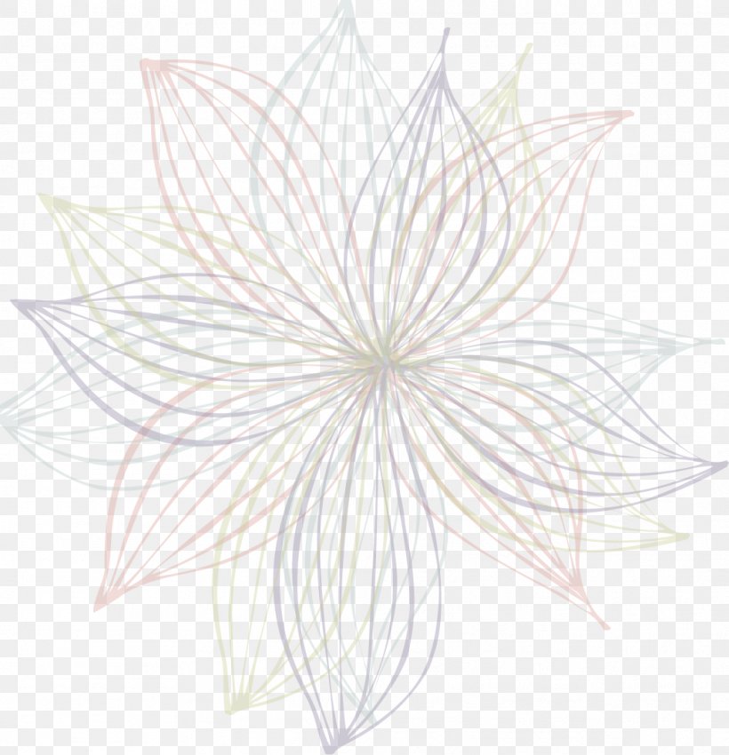 Petal Symmetry Pattern Line Leaf, PNG, 1037x1076px, Petal, Black And White, Drawing, Flower, Flowering Plant Download Free