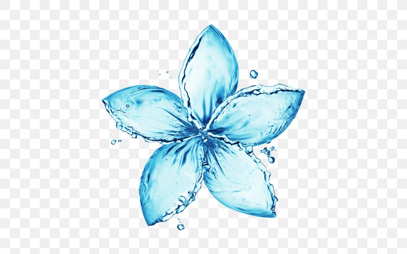 Stock Photography Water Flower Drop, PNG, 736x512px, Stock Photography, Butterfly, Color, Drop, Flower Download Free