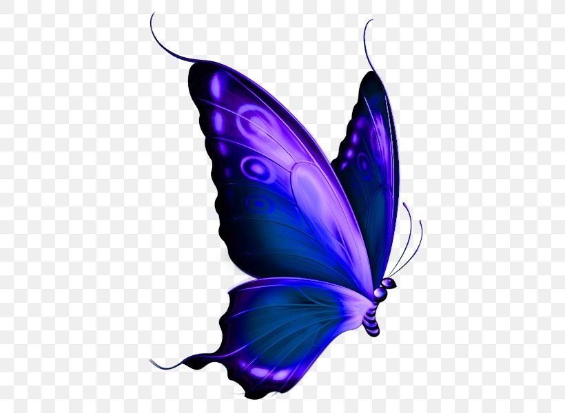 Butterfly Red Greta Oto Clip Art, PNG, 469x600px, Butterfly, Butterflies And Moths, Cobalt Blue, Color, Greta Oto Download Free