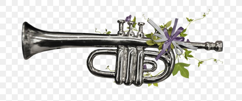 Cornet Trumpet Wind Instrument Flugelhorn Bugle, PNG, 800x343px, Watercolor, Cartoon, Flower, Frame, Heart Download Free