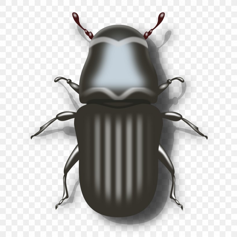 Darkling Beetle Ladybird Clip Art, PNG, 2400x2400px, Darkling Beetle, Arthropod, Beetle, Cetonia Aurata, Drawing Download Free
