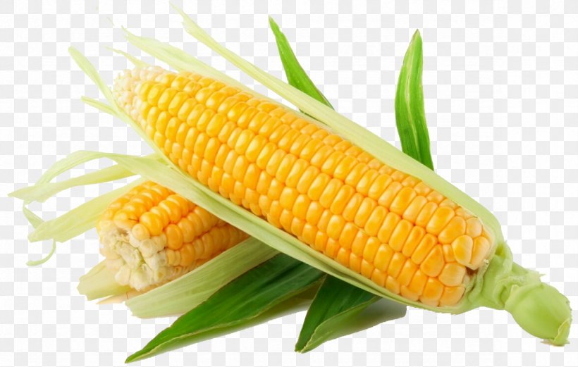 Flint Corn Candy Corn Sweet Corn Baby Corn Corn Kernel, PNG, 1178x749px, Flint Corn, Baby Corn, Candy Corn, Cereal, Commodity Download Free