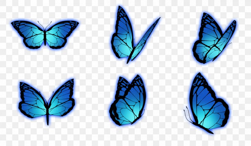 Brush-footed Butterflies No Yo Ta Wo, PNG, 1200x700px, Brushfooted Butterflies, Brush Footed Butterfly, Butterfly, Com, Comet Download Free