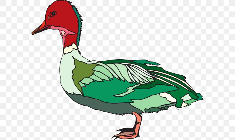 Duck Green Red Clip Art, PNG, 600x489px, Duck, Beak, Bird, Chicken, Color Download Free