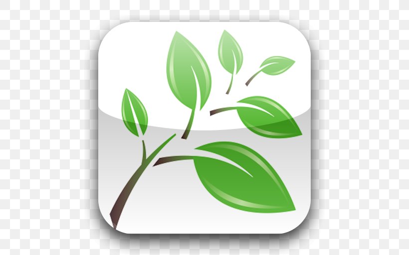 Plant Stem Leaf Font Product, PNG, 512x512px, Plant Stem, Branch, Grass, Green, Leaf Download Free