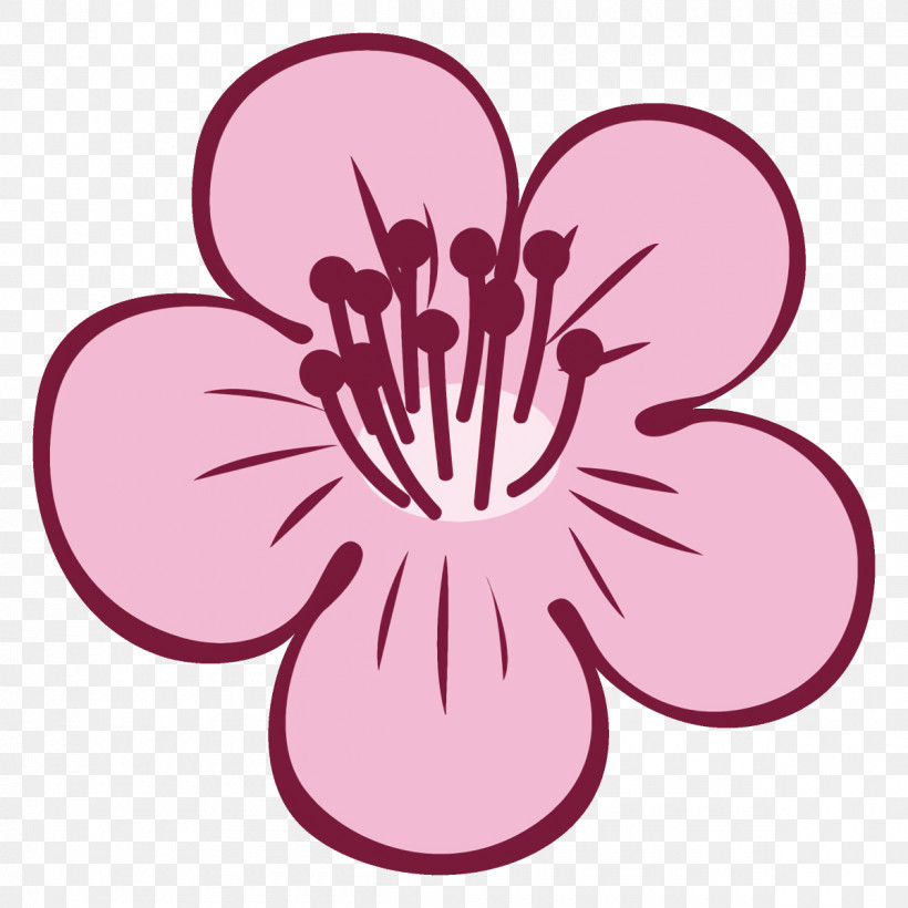Plum Blossoms Plum Winter Flower, PNG, 1200x1200px, Plum Blossoms, Cherry Blossom, Flower, Hibiscus, Magenta Download Free