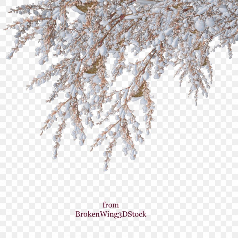 Snow Winter Shrub Tree, PNG, 900x900px, Snow, Branch, Freezing, Frost, Photography Download Free