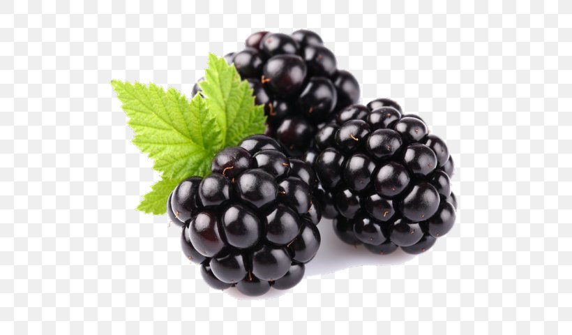 Blackberry Clip Art Fruit Download, PNG, 640x480px, Blackberry, Auglis, Berry, Bilberry, Blueberry Download Free
