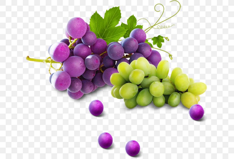 Grape Fruit Orange, PNG, 638x560px, Grape, Food, Fruit, Grape Juice, Grape Seed Extract Download Free