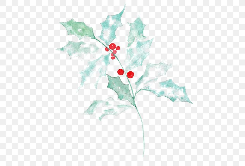 Holly Aquifoliales Floral Design Leaf, PNG, 500x558px, Holly, Aquifoliaceae, Aquifoliales, Branch, Flora Download Free