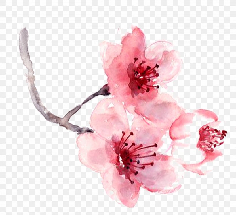 Watercolor Painting Pink, PNG, 2715x2483px, Watercolor Painting, Azalea, Blossom, Branch, Cherry Blossom Download Free