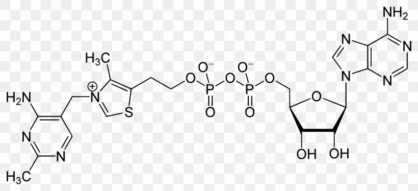 Adenosine Triphosphate Adenosine Diphosphate S-Adenosyl Methionine Grup Fosfat, PNG, 1280x584px, Watercolor, Cartoon, Flower, Frame, Heart Download Free
