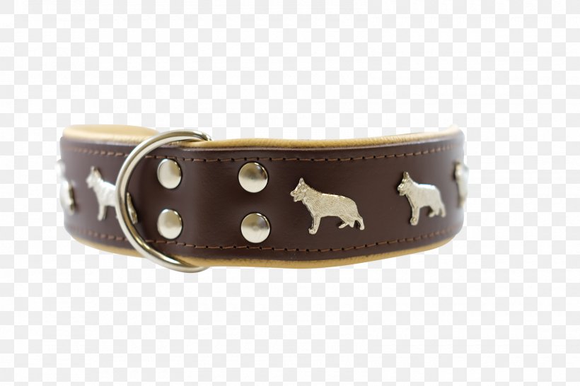 Belt Dog Collar Buckle Strap, PNG, 1600x1067px, Belt, Belt Buckle, Belt Buckles, Brown, Buckle Download Free